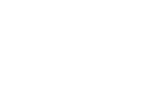 AmeriPol logo4_white-1