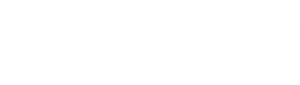 AmeriPol_logo_white_www